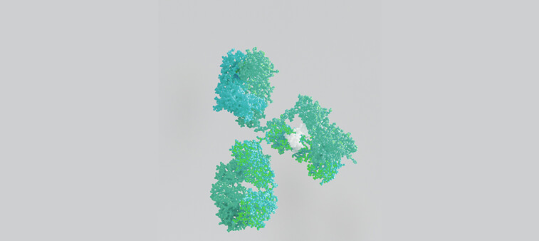 ΑΝΟΣΙΑ ΑΠΟ ΝΟΣΗΣΗ Anti-SARS-CoV-2 (N Protein) IgG